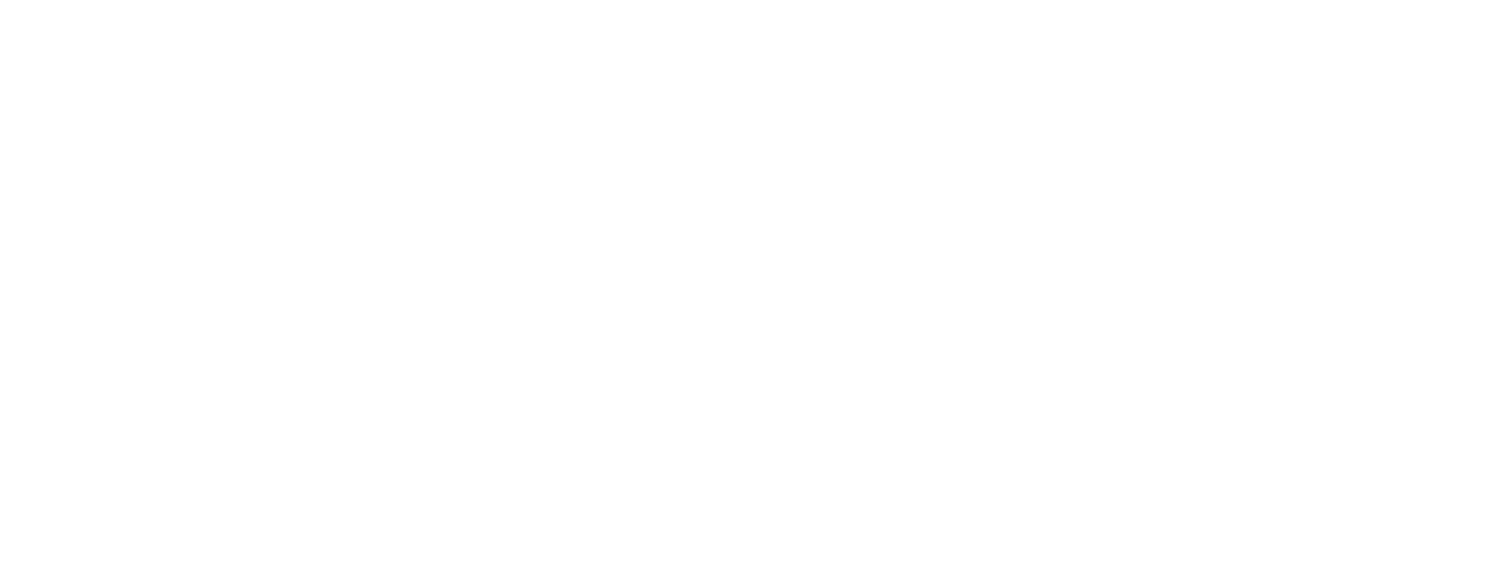 Bijeli tekst na crnoj pozadini: Disney Stitch