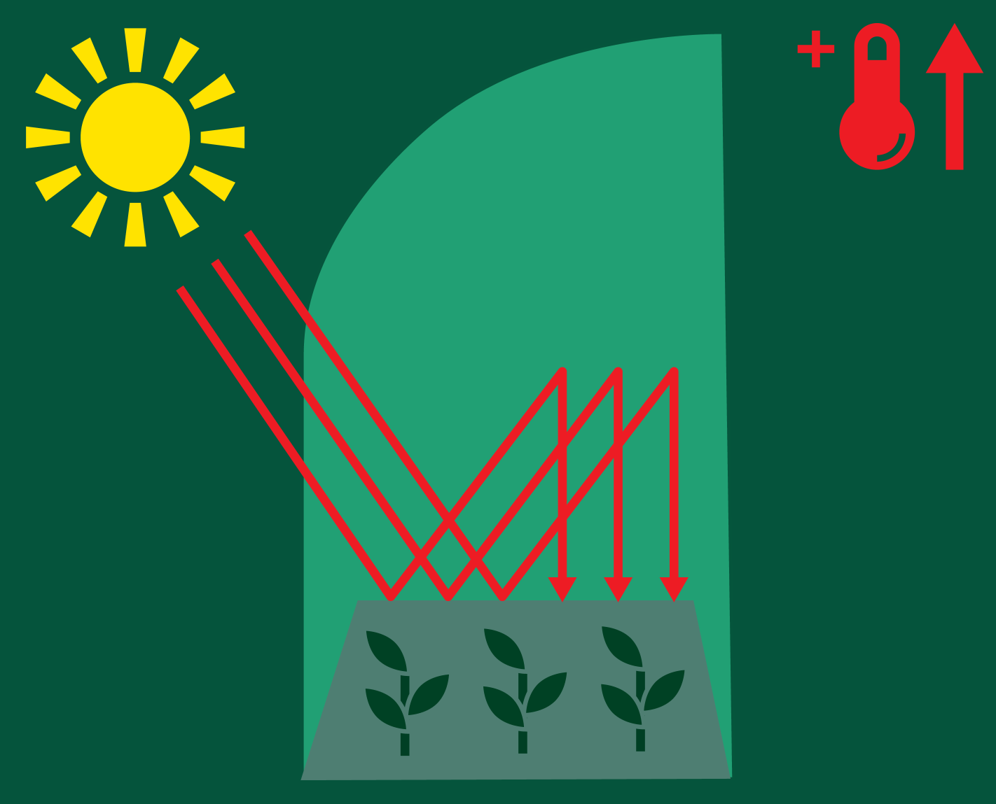 Staklenik sa suncem, biljkama i porastom temperature.