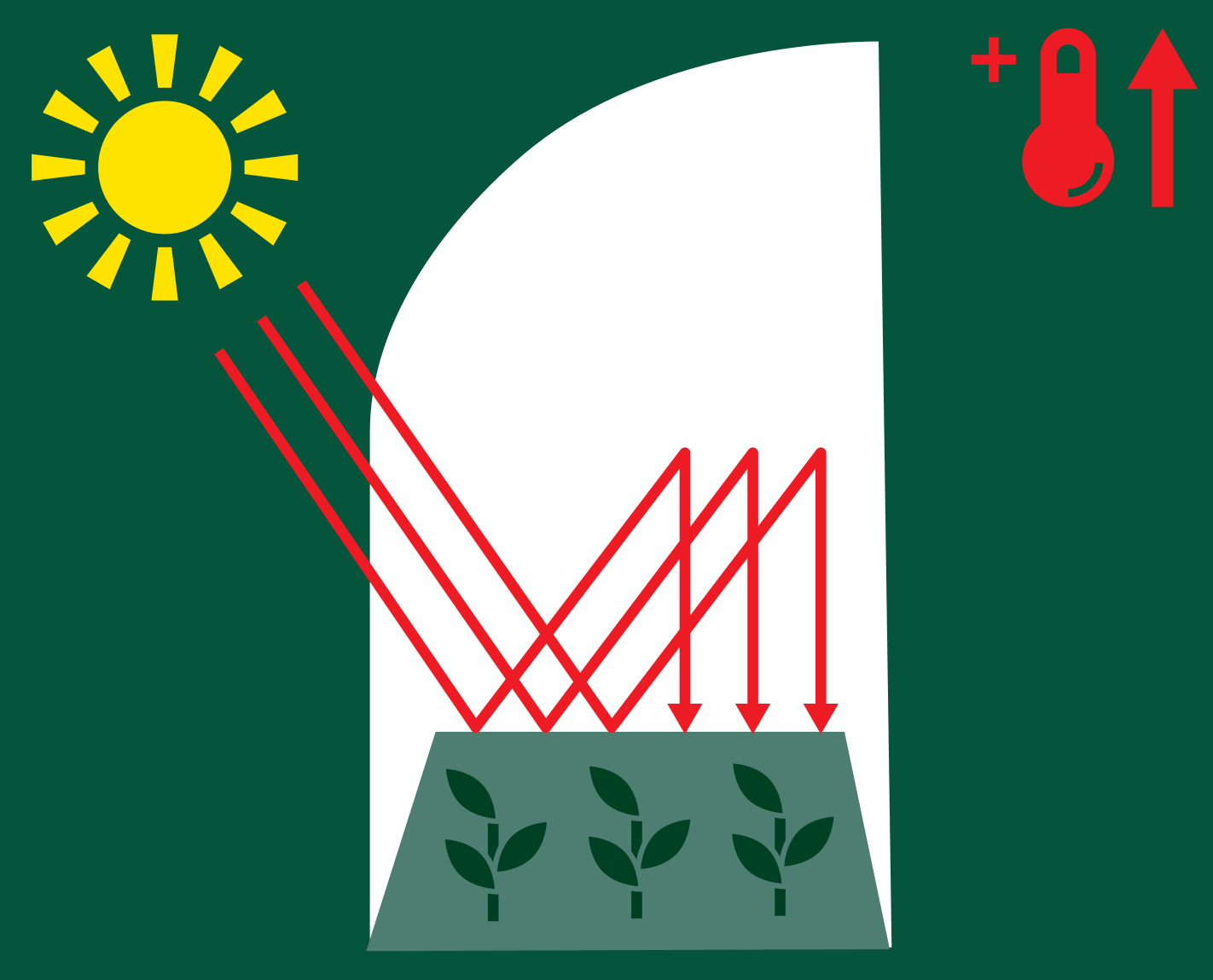 Ilustracija efekta staklenika sa suncem, biljkama i termometrom koji pokazuje porast temperature.