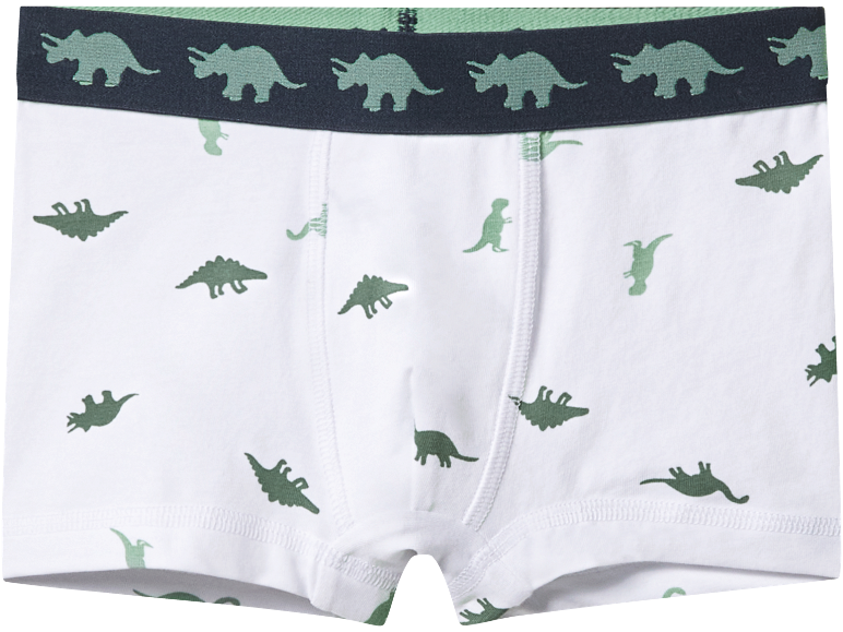 Bijele dječje bokserice sa zelenim uzorkom dinosaura i elastičnom trakom.
