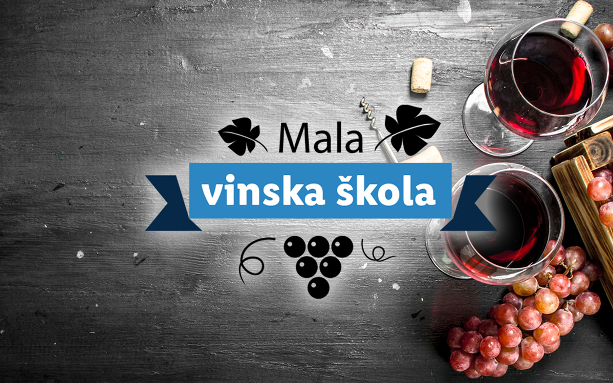 Vino, grožđe, Mala škola vina.