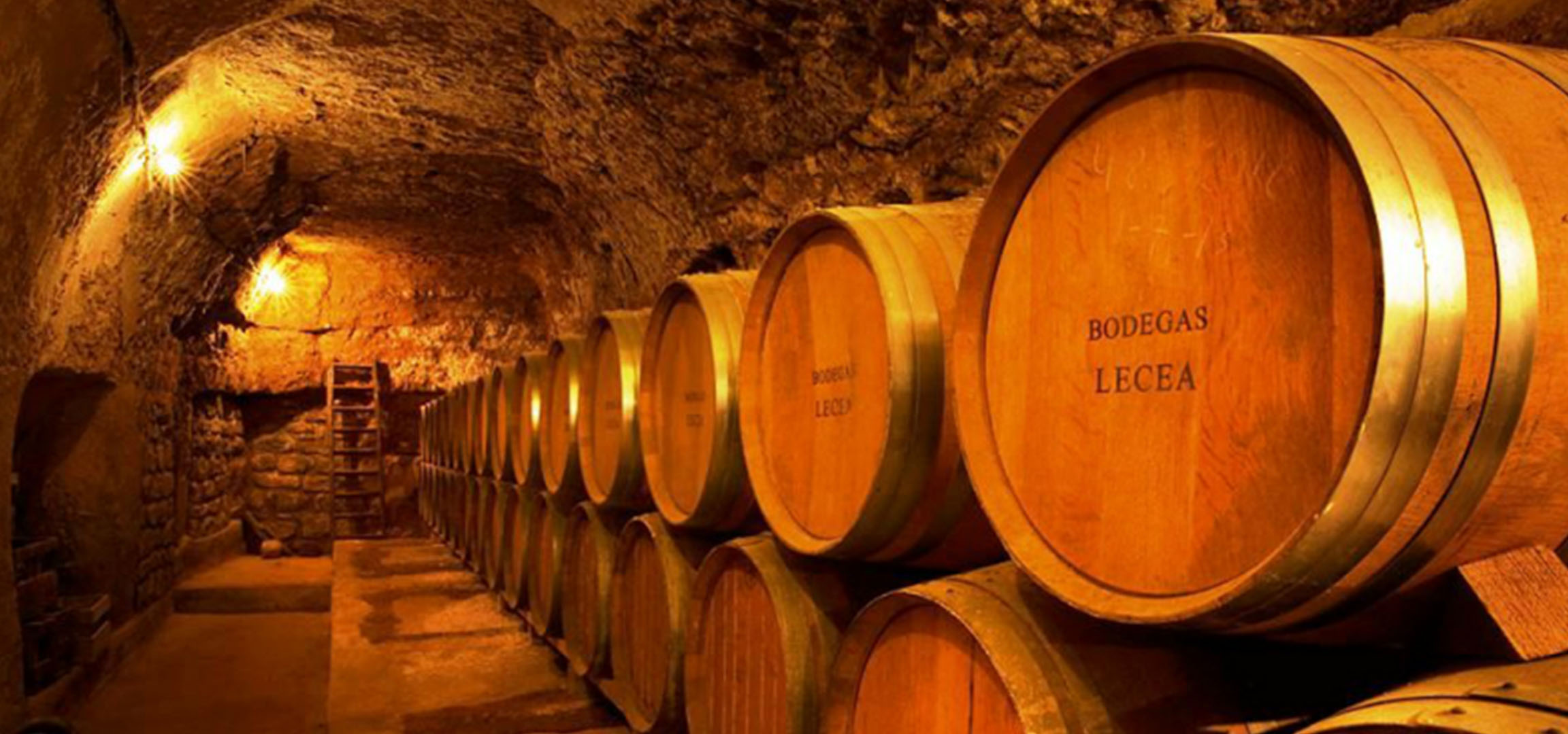 Vinski podrum s drvenim bačvama, neke označene s „BODEGAS LECEA“