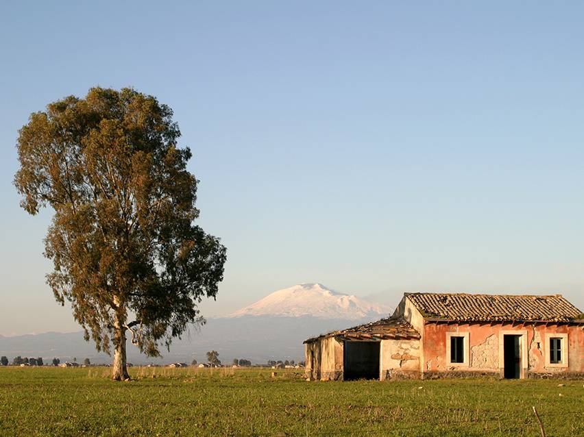 Ruralni krajolik s drvetom, oronulom kućom i snježnom planinom u pozadini.