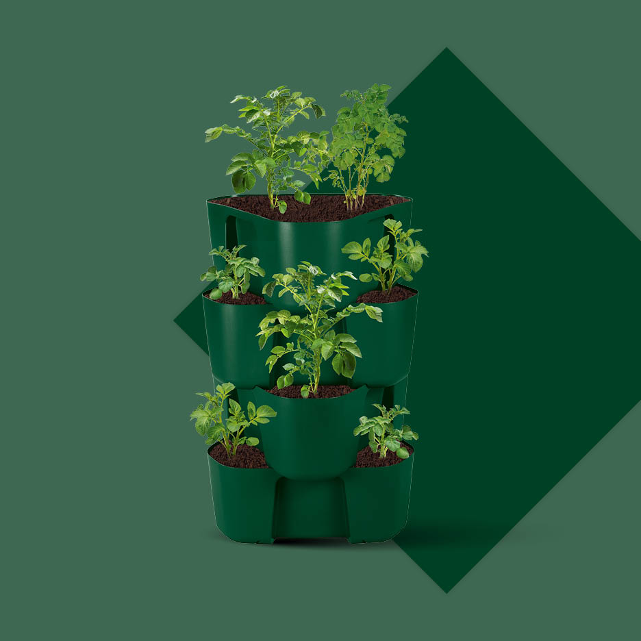 Zeleni vertikalni vrt s biljkama krumpira na tamnozelenoj pozadini s geometrijskim oblicima.