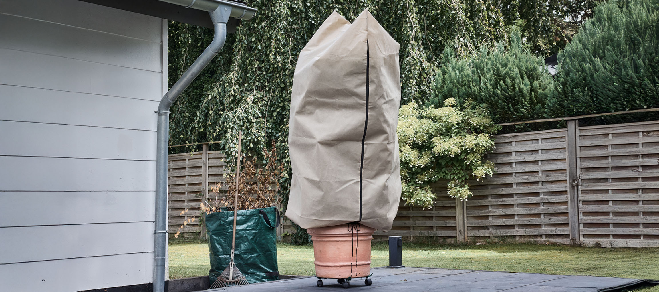 Biljka u tegli sa zimskom zaštitnom navlakom na terasi pored kuće.