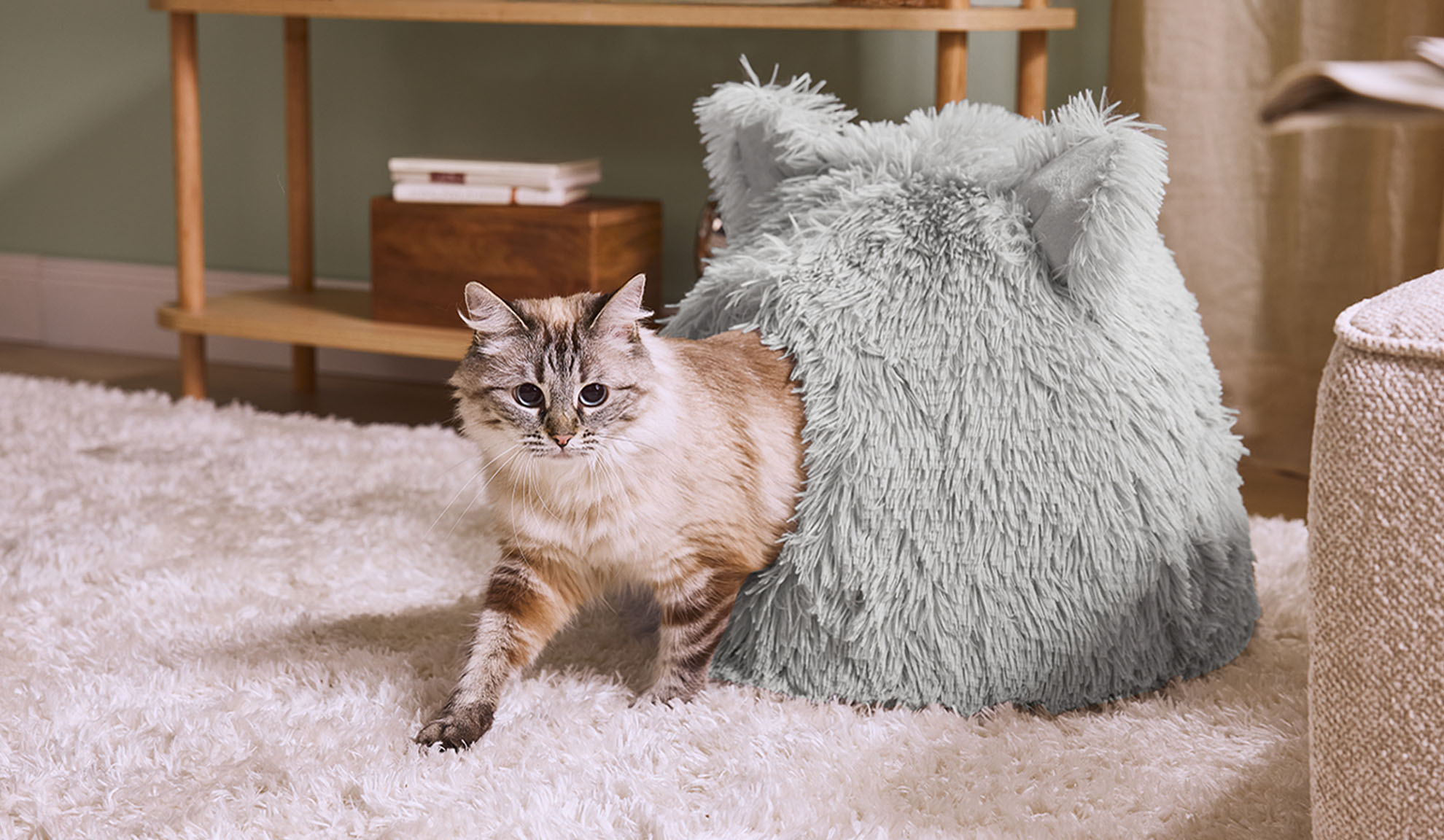 Mačka izlazi iz sivog pahuljastog kreveta na bijelom tepihu.