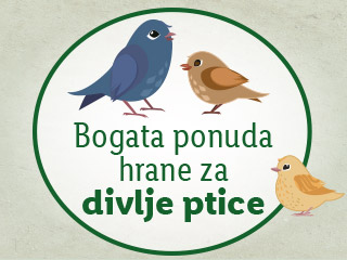 Bogata ponuda hrane za divlje ptice